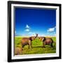 Elephants Playing With Their Trunks On African Savanna. Safari In Amboseli, Kenya, Africa-Michal Bednarek-Framed Photographic Print