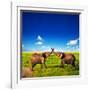 Elephants Playing With Their Trunks On African Savanna. Safari In Amboseli, Kenya, Africa-Michal Bednarek-Framed Photographic Print