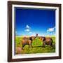 Elephants Playing With Their Trunks On African Savanna. Safari In Amboseli, Kenya, Africa-Michal Bednarek-Framed Photographic Print