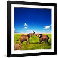 Elephants Playing With Their Trunks On African Savanna. Safari In Amboseli, Kenya, Africa-Michal Bednarek-Framed Photographic Print