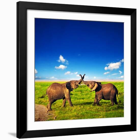 Elephants Playing With Their Trunks On African Savanna. Safari In Amboseli, Kenya, Africa-Michal Bednarek-Framed Photographic Print