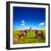 Elephants Playing With Their Trunks On African Savanna. Safari In Amboseli, Kenya, Africa-Michal Bednarek-Framed Photographic Print