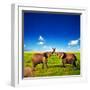 Elephants Playing With Their Trunks On African Savanna. Safari In Amboseli, Kenya, Africa-Michal Bednarek-Framed Photographic Print