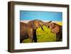 Elephants Playing with their Trunks on African Savanna. Safari in Amboseli, Kenya, Africa-Michal Bednarek-Framed Photographic Print