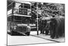 Elephants Queue at Battersea Park Bus Stop-null-Mounted Photographic Print