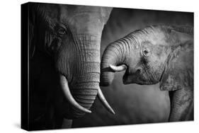 Elephants Showing Affection (Artistic Processing)-Johan Swanepoel-Stretched Canvas