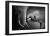 Elephants Showing Affection (Artistic Processing)-Johan Swanepoel-Framed Photographic Print