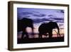 Elephants Silhouetted at Dusk-Paul Souders-Framed Photographic Print