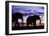 Elephants Silhouetted at Dusk-Paul Souders-Framed Photographic Print