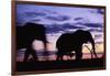 Elephants Silhouetted at Dusk-Paul Souders-Framed Photographic Print