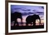 Elephants Silhouetted at Dusk-Paul Souders-Framed Photographic Print