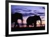 Elephants Silhouetted at Dusk-Paul Souders-Framed Photographic Print