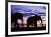 Elephants Silhouetted at Dusk-Paul Souders-Framed Photographic Print