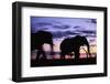 Elephants Silhouetted at Dusk-Paul Souders-Framed Photographic Print