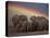 Elephants Taking Mud Bath-Jim Zuckerman-Stretched Canvas