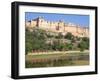 Elephants Taking Tourists to the Amber Fort Near Jaipur, Rajasthan, India, Asia-Gavin Hellier-Framed Photographic Print