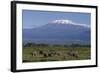 Elephants-DLILLC-Framed Photographic Print