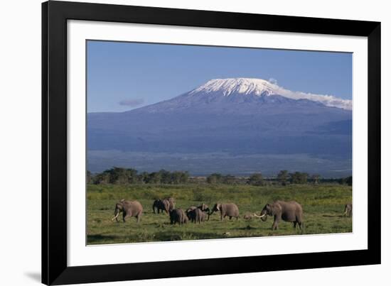 Elephants-DLILLC-Framed Photographic Print