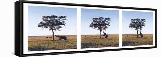 Elephants-Erin Clark-Framed Stretched Canvas