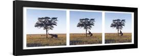 Elephants-Erin Clark-Framed Premium Giclee Print
