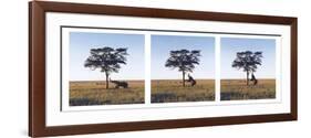 Elephants-Erin Clark-Framed Giclee Print