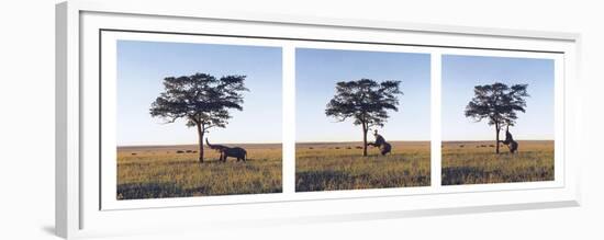 Elephants-Erin Clark-Framed Giclee Print