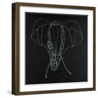 Elephas Maximus-Susan Gillette-Framed Giclee Print