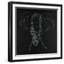 Elephas Maximus-Susan Gillette-Framed Giclee Print