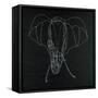 Elephas Maximus-Susan Gillette-Framed Stretched Canvas