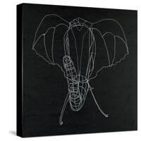 Elephas Maximus-Susan Gillette-Stretched Canvas