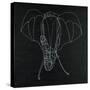 Elephas Maximus-Susan Gillette-Stretched Canvas