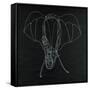 Elephas Maximus-Susan Gillette-Framed Stretched Canvas