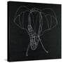 Elephas Maximus-Susan Gillette-Stretched Canvas