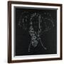 Elephas Maximus-Susan Gillette-Framed Giclee Print