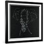 Elephas Maximus-Susan Gillette-Framed Giclee Print