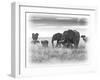 Eles-Sarah Farnsworth-Framed Premium Photographic Print