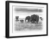 Eles-Sarah Farnsworth-Framed Photographic Print