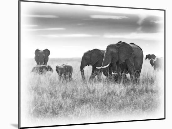 Eles-Sarah Farnsworth-Mounted Photographic Print