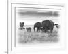 Eles-Sarah Farnsworth-Framed Photographic Print