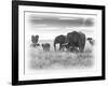 Eles-Sarah Farnsworth-Framed Photographic Print