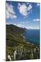 Elevated Costal View of Morsiglia, Le Cap Corse, Corsica, France-Walter Bibikow-Mounted Photographic Print