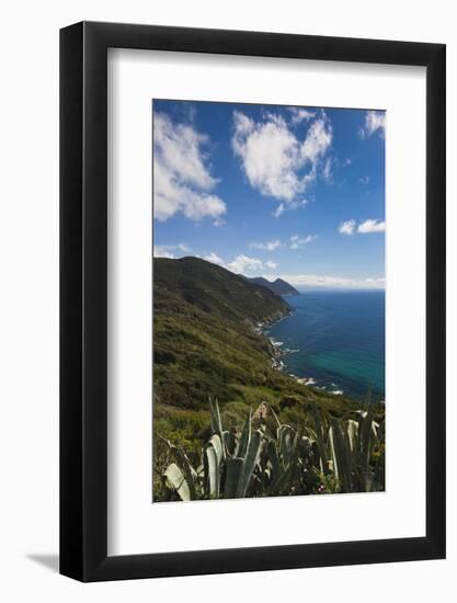 Elevated Costal View of Morsiglia, Le Cap Corse, Corsica, France-Walter Bibikow-Framed Photographic Print