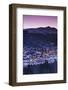 Elevated Town View from Mount Baldy, Breckenridge, Colorado, USA-Walter Bibikow-Framed Photographic Print