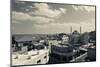 Elevated town view with mosque, Madaba, Kings Highway, Jordan-null-Mounted Photographic Print