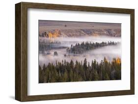 Elevated view of aspen and cottonwood trees in morning mist along Snake River, Grand Teton NP, WY-Adam Jones-Framed Photographic Print