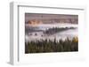 Elevated view of aspen and cottonwood trees in morning mist along Snake River, Grand Teton NP, WY-Adam Jones-Framed Photographic Print