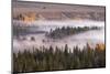 Elevated view of aspen and cottonwood trees in morning mist along Snake River, Grand Teton NP, WY-Adam Jones-Mounted Photographic Print