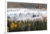 Elevated view of aspen and cottonwood trees in morning mist along Snake River, Grand Teton NP, WY-Adam Jones-Framed Photographic Print