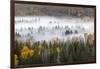 Elevated view of aspen and cottonwood trees in morning mist along Snake River, Grand Teton NP, WY-Adam Jones-Framed Photographic Print