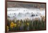Elevated view of aspen and cottonwood trees in morning mist along Snake River, Grand Teton NP, WY-Adam Jones-Framed Photographic Print